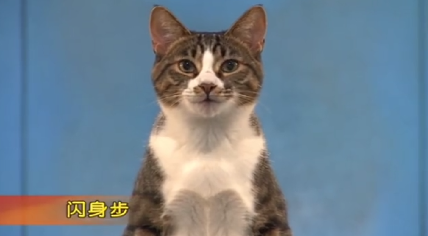 闪身步